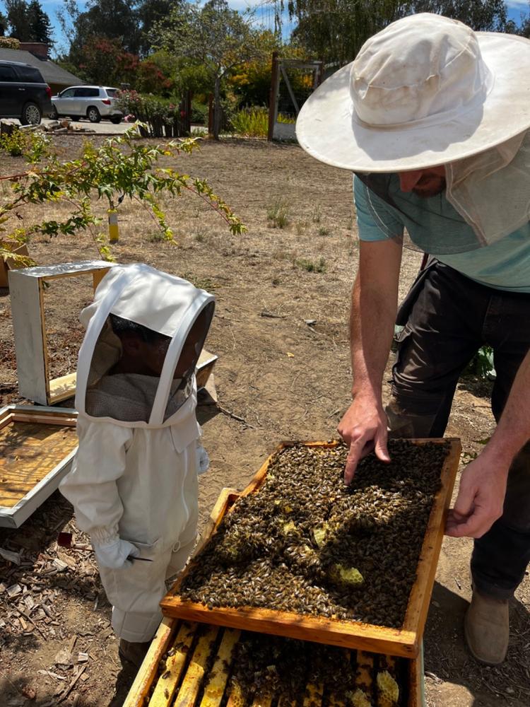 Flow Bee Suit – Organic Cotton – Toddler - Customer Photo From Amy Bernal