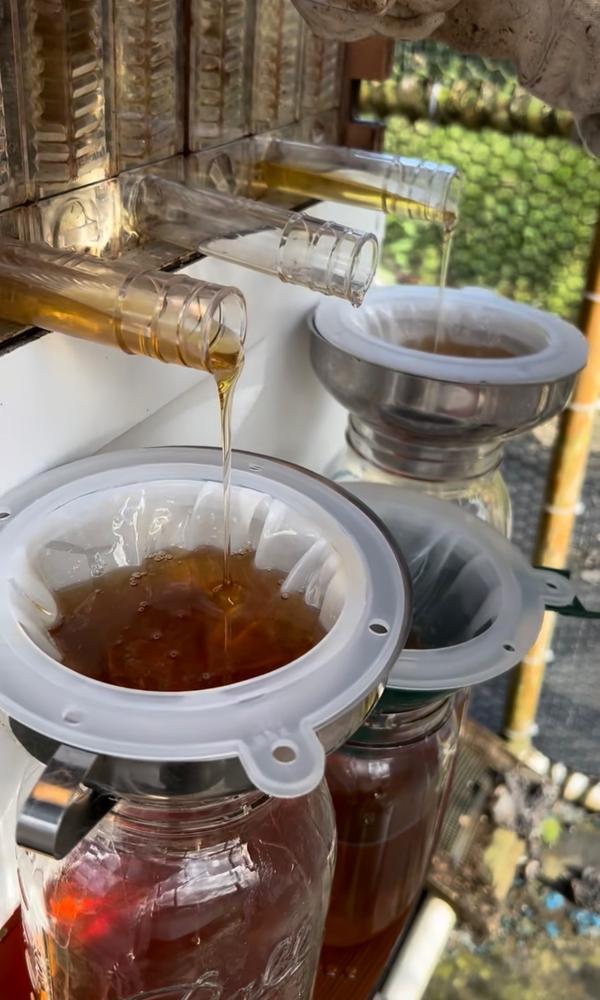 Flow Super – Flow Hive 2+ - Customer Photo From Kay Tajiri