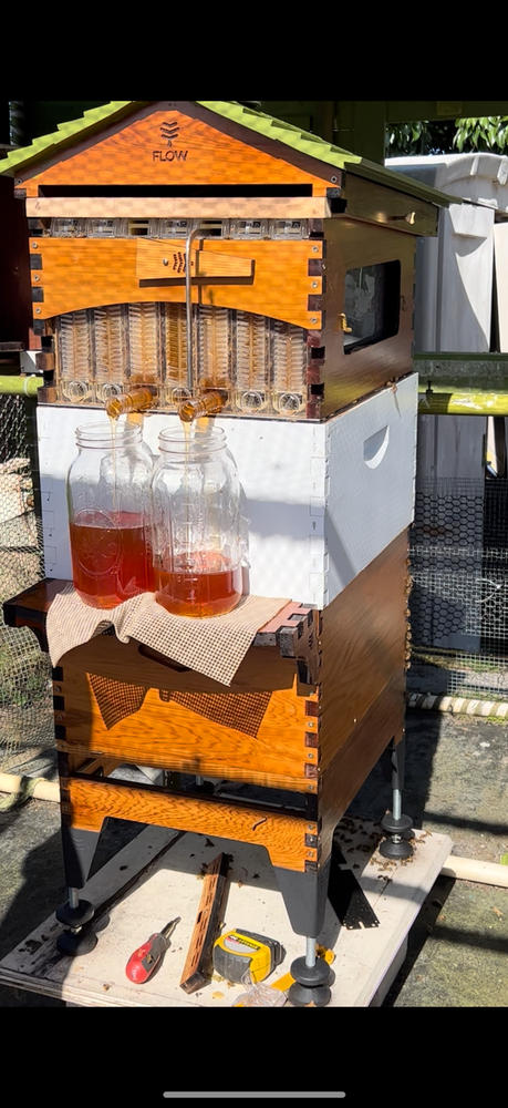 Flow Super – Flow Hive 2+ - Customer Photo From Kay Tajiri