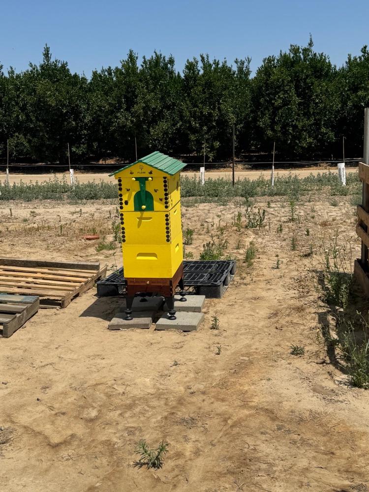 Base & Stand – Flow Hive 2+ - Customer Photo From Frank Martin III