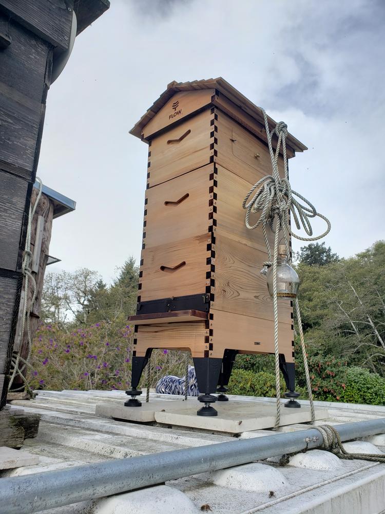 Flow Hive Hybrid