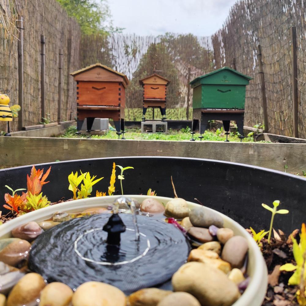 Base & Stand – Flow Hive 2+ - Customer Photo From Logan Stepp