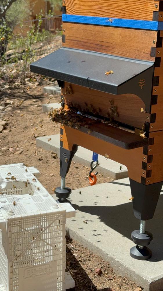 Flow Hive 2+ - Customer Photo From Gregory Nollau