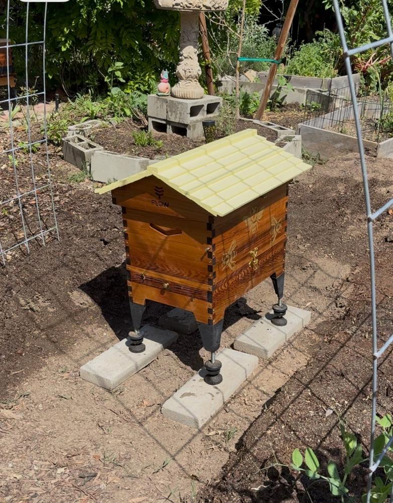 Flow Hive 2+ - Customer Photo From Shakaia Francois