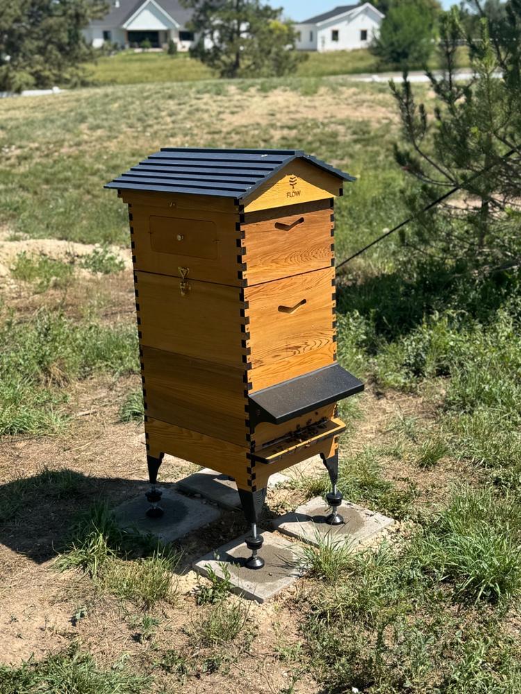 Flow Hive 2+ - Customer Photo From Kyle Vanderlinden