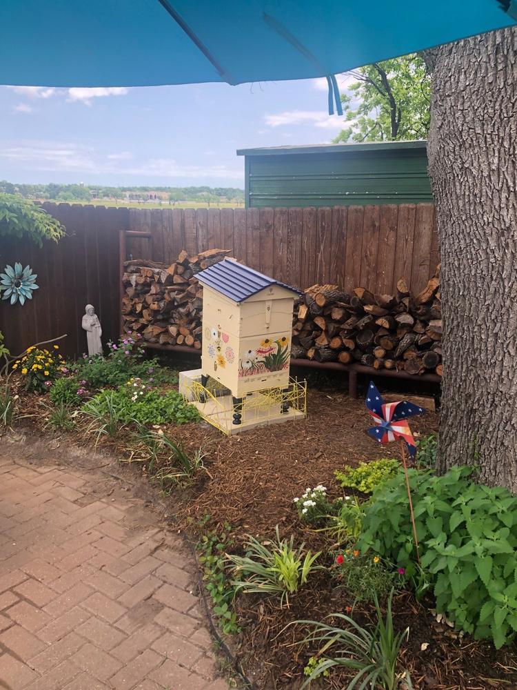 Flow Hive 2+ - Customer Photo From Mary Ann Pape
