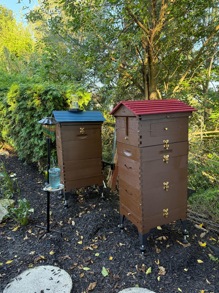 Flow Hive 2+ - Customer Photo From Matthew Baylor