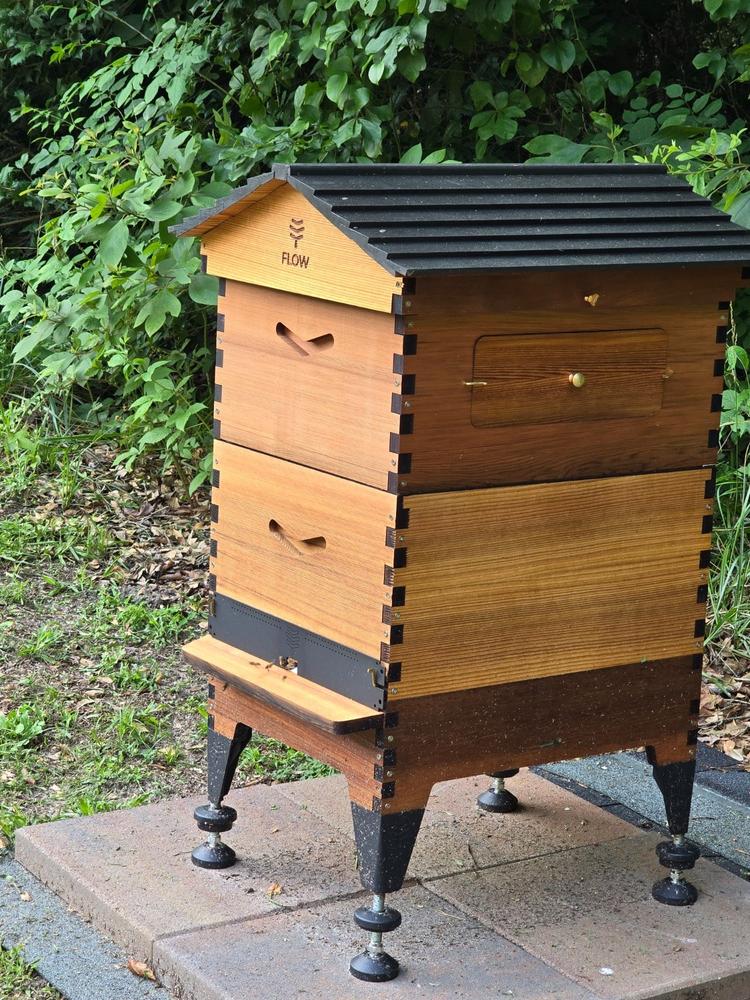 Flow Hive 2+ - Customer Photo From Renea Allen