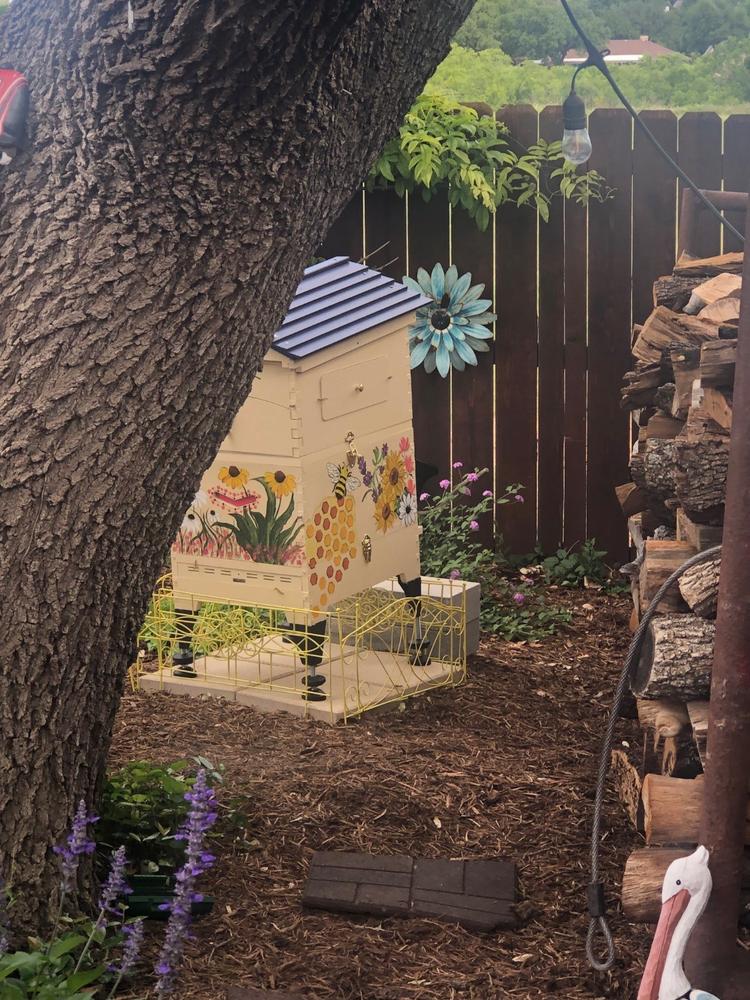 Flow Hive 2+ - Customer Photo From Mary Ann Pape