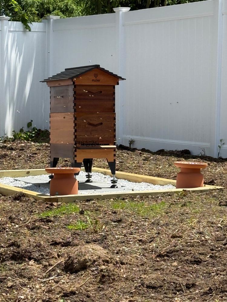 Flow Hive 2+ - Customer Photo From Diane Celentano