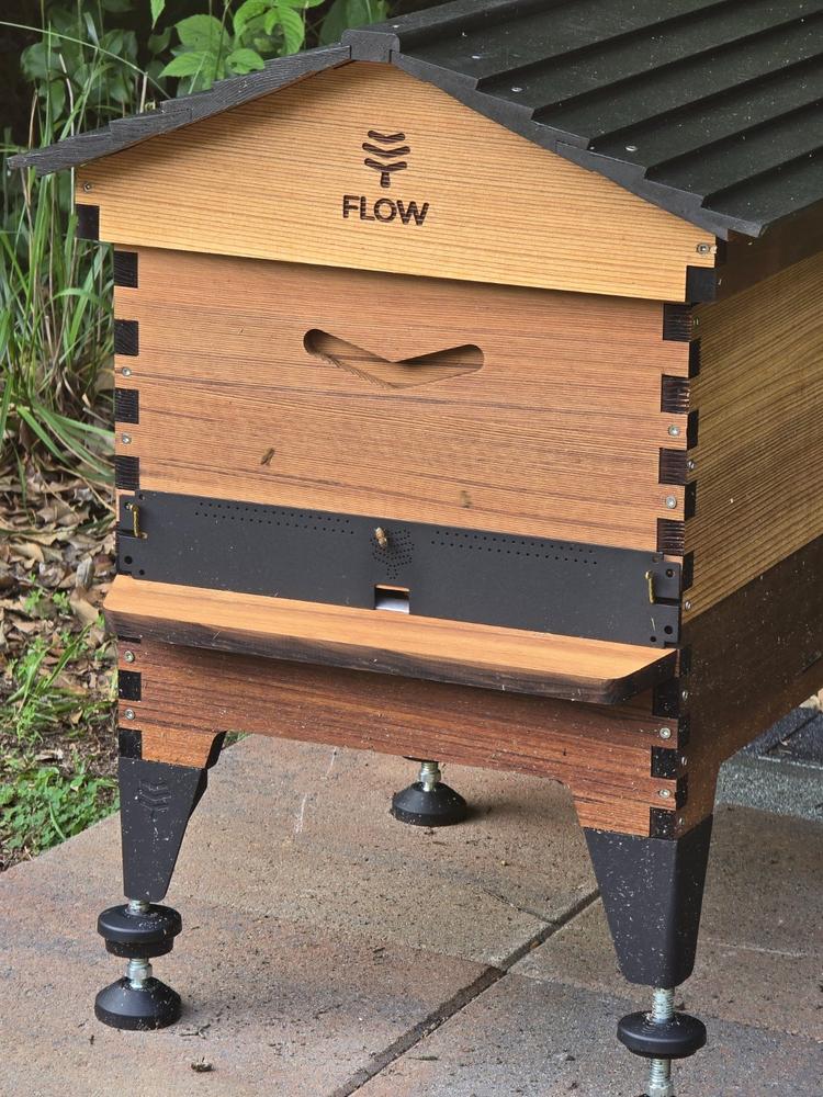 Flow Hive 2+ - Customer Photo From Renea Allen