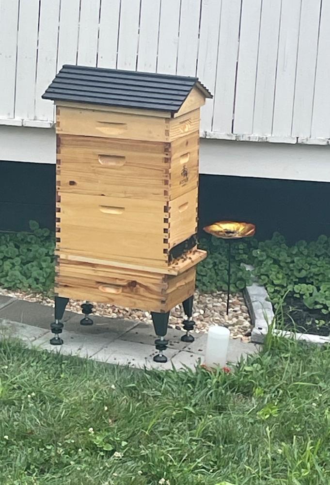 Flow Hive Stand – Flow Hive 2+ - Customer Photo From Sandra Sebecke