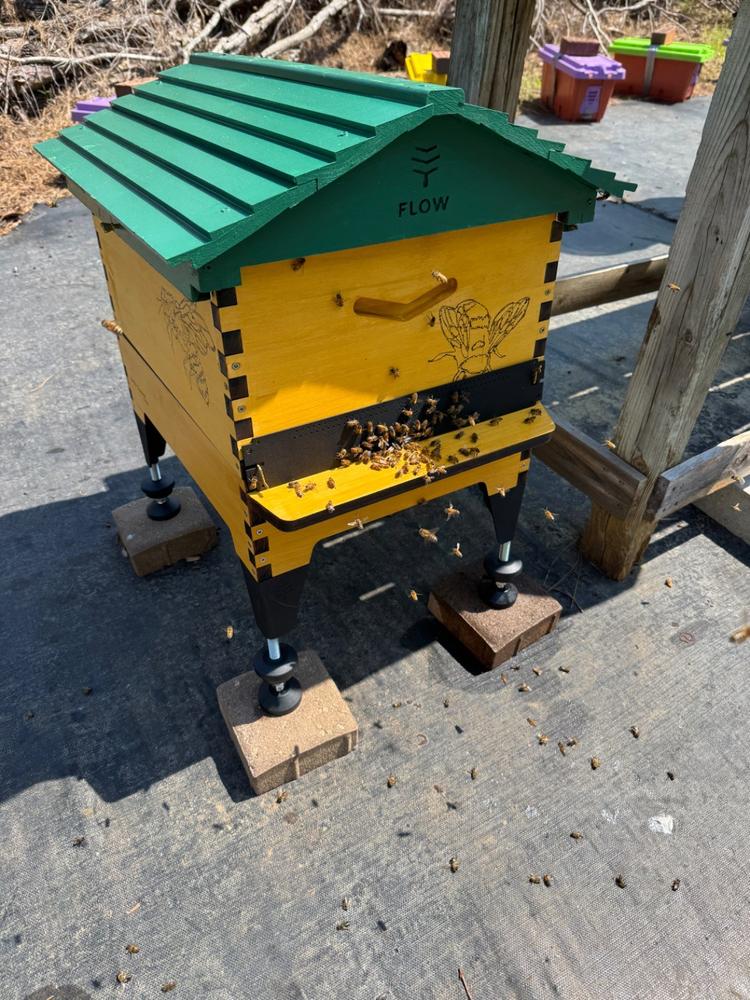 Flow Hive Stand – Flow Hive 2+ - Customer Photo From Jack Summe