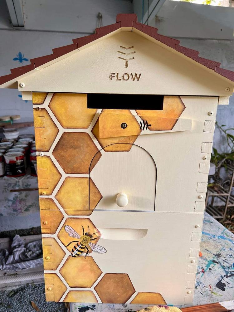 How do I collect honeycomb from my Flow Hive Hybrid?