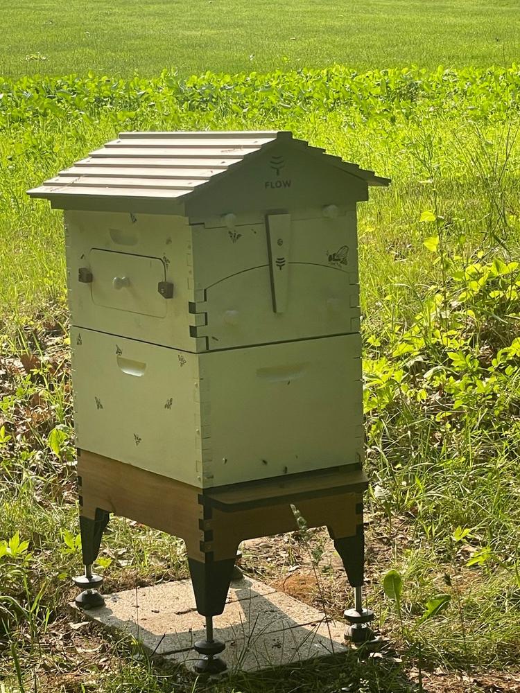 Flow Hive Classic Upgrade Kit - Customer Photo From Tammy Lehman