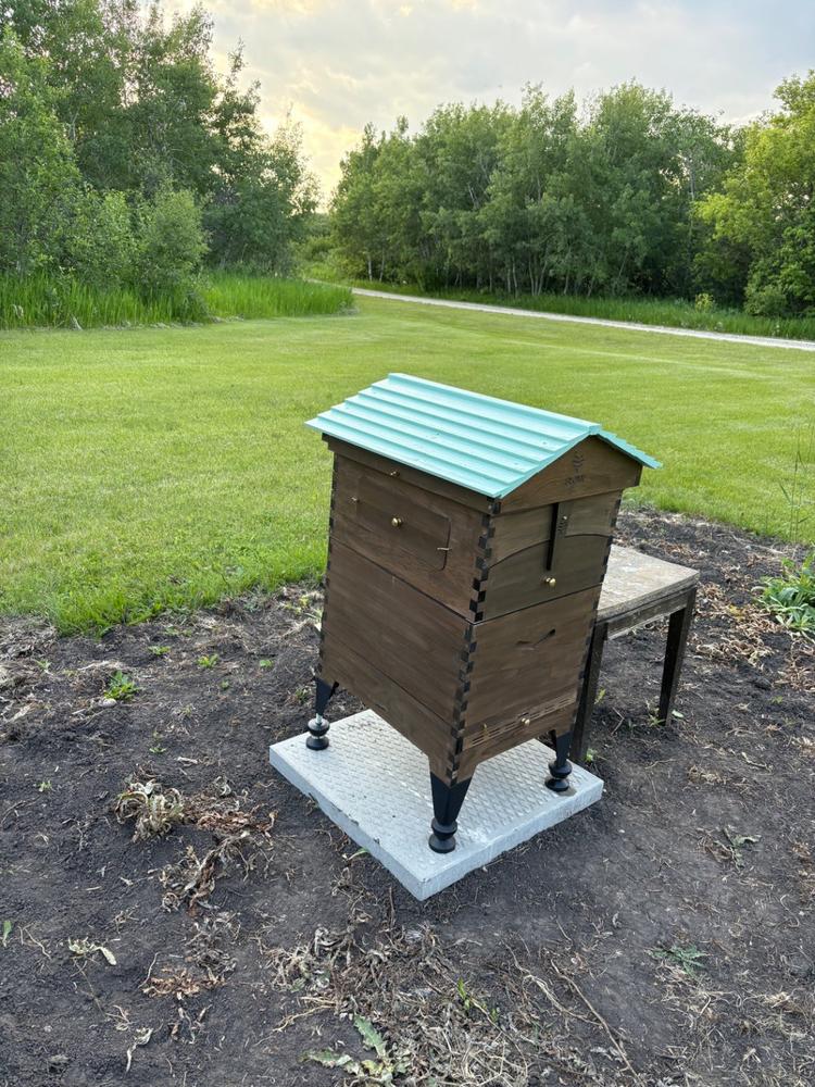 Flow Hive 2+ - Customer Photo From Shantelle Penner