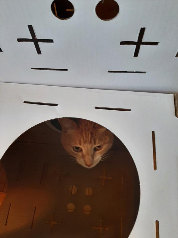 The Cat Castle - Customer Photo From Tricia Freire Greeley 