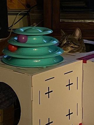 Build-Your-Own Cat Castle - Customer Photo From Angela Bodman