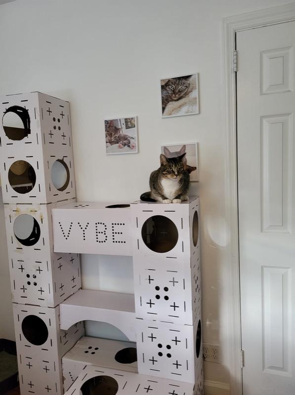 Build-Your-Own Cat Castle - Customer Photo From Devin McKay
