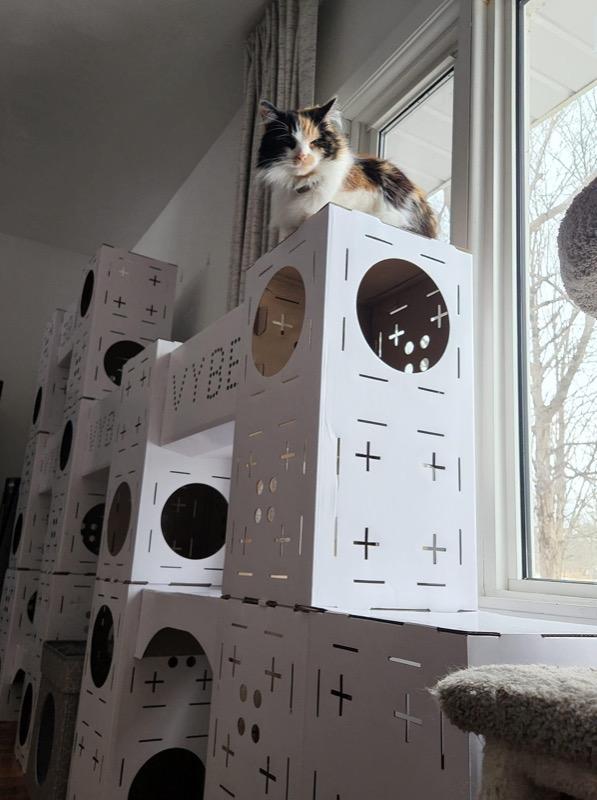 Build-Your-Own Cat Castle - Customer Photo From Chandi Ray
