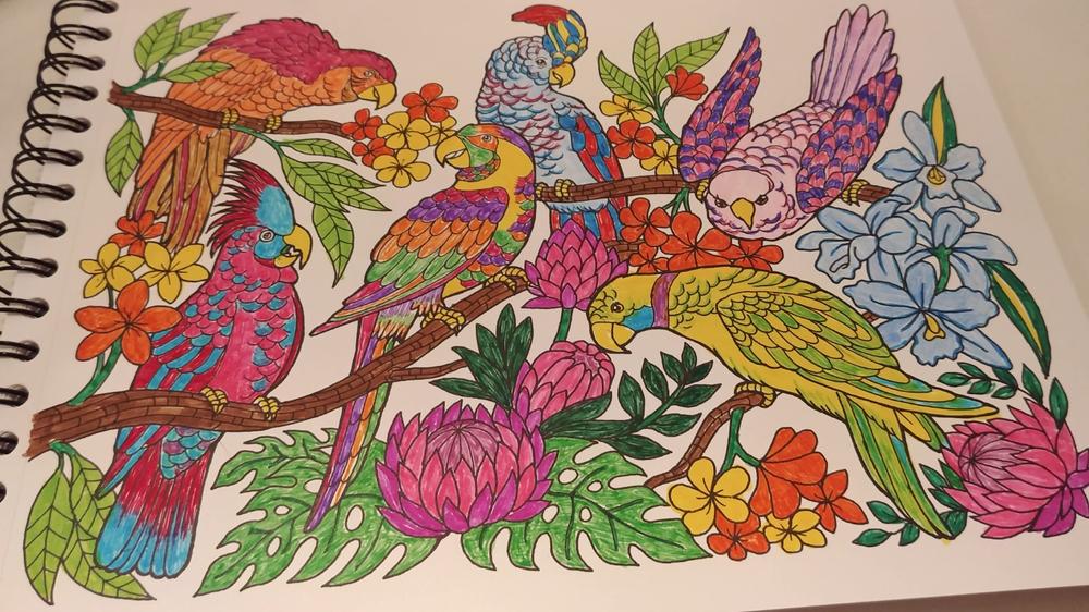 Colors Of Nature Illustrated By Stevan Kasih - Customer Photo From Wanda Lyles