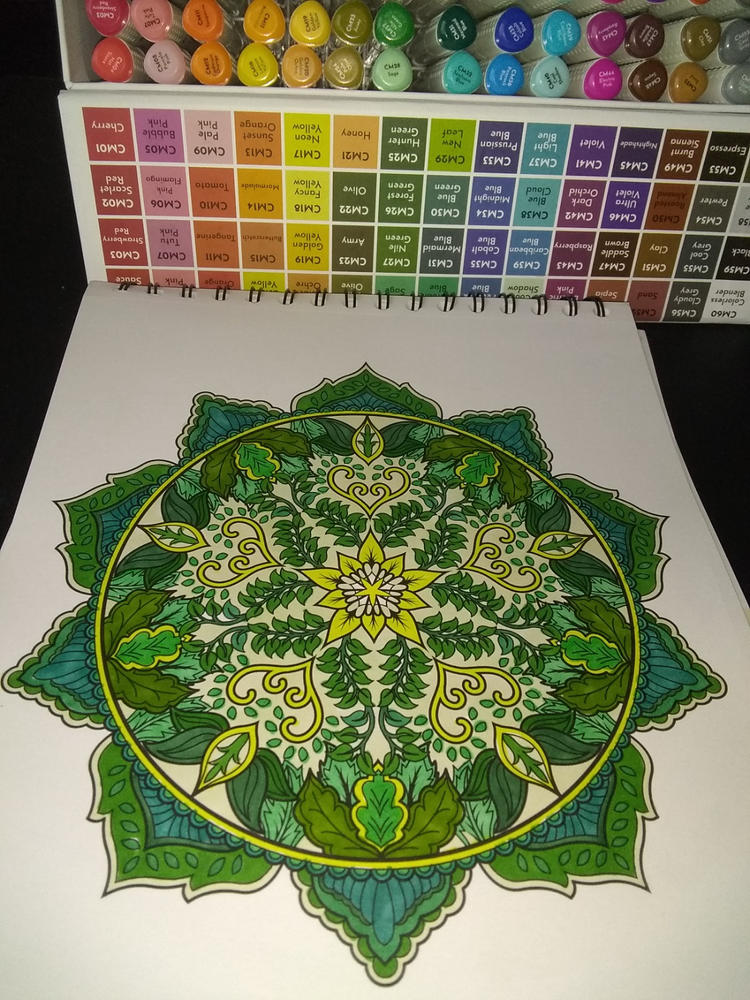 ColorIt 60 Dual Tip Art Markers Set for Coloring - Double Sided Artist Alcohol Permanent Markers with Bullet and Chisel Tip - Customer Photo From Roberta Perry