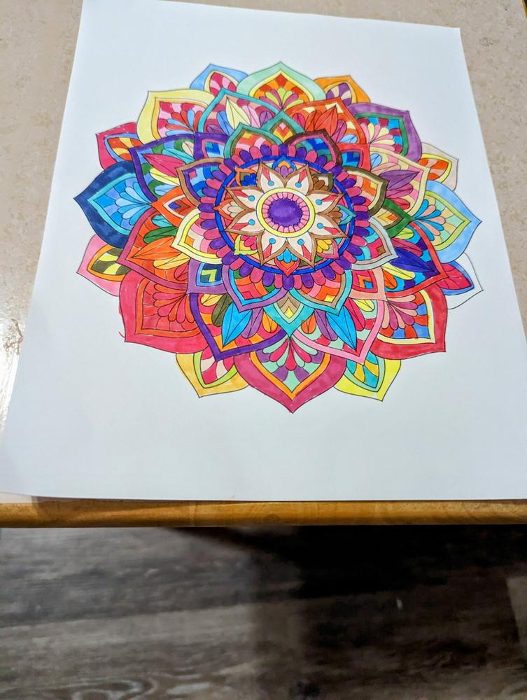 ColorIt 60 Dual Tip Art Markers Set for Coloring - Double Sided Artist Alcohol Permanent Markers with Bullet and Chisel Tip - Customer Photo From Judy Reeves