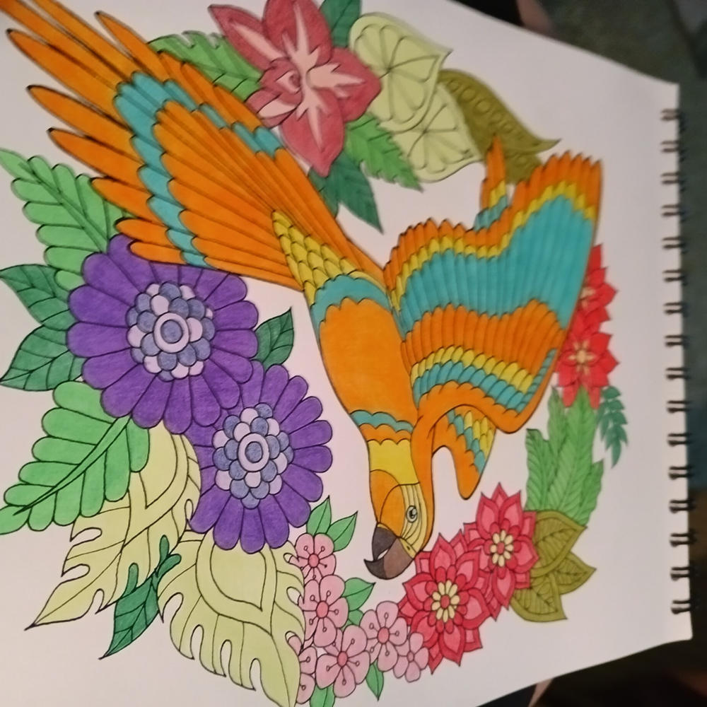 Colorful Flowers Volume 2 Coloring Book for Adults by Jackielou Pareja - Customer Photo From Sandy Bennett