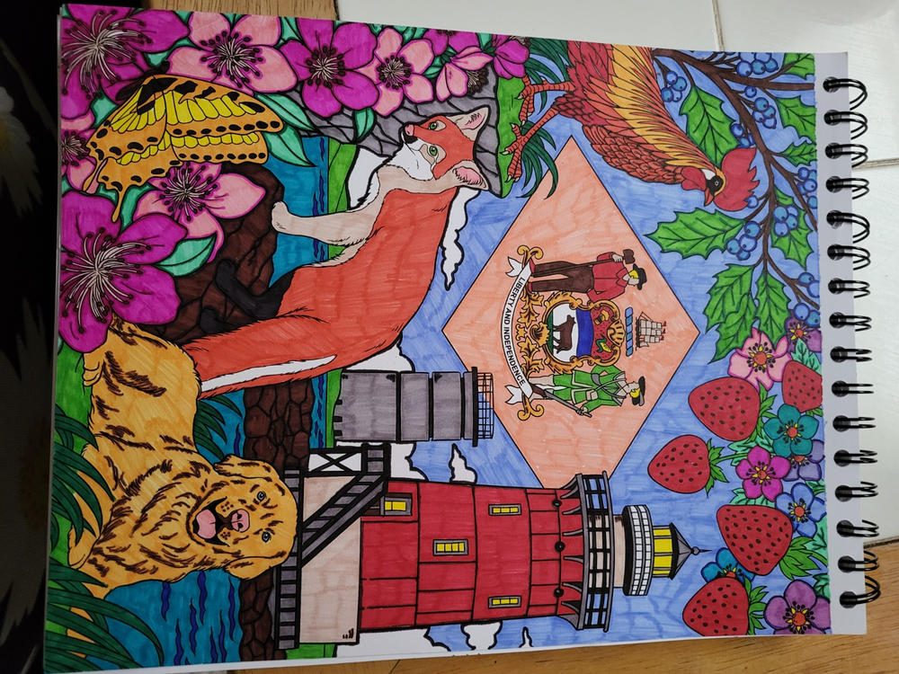 ColorIt The Fifty States Coloring Book for Adults Illustrated by Hasby Mubarok - Customer Photo From Debra white
