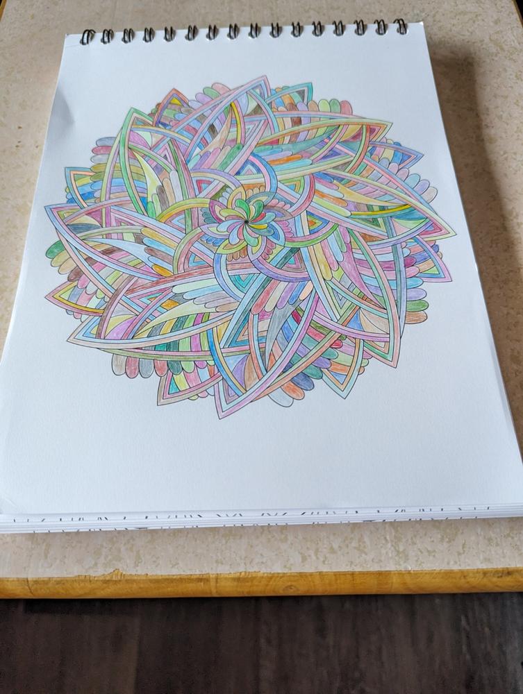 Mandalas To Color Volume 6 Coloring Book by Terbit Basuki - Customer Photo From Judy Reeves