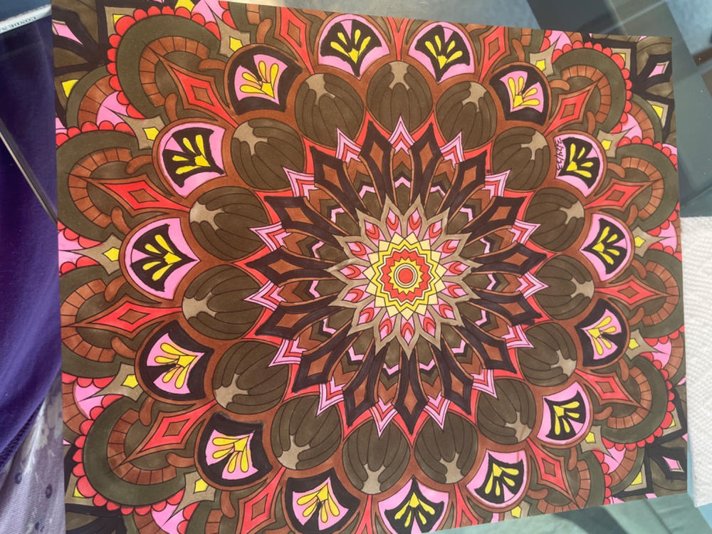 ColorIt Mandalas To Color, Volume VIII Adult Coloring Book 50 Floral and  Geometric Mandala Patterns and Designs, Spiral Binding, USA Printed, Lay  Flat Hardback Book Cover, Ink Blotter