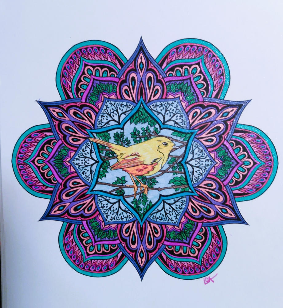 Mandalas To Color Volume 2 Illustrated By Terbit Basuki - Customer Photo From Denise Averette
