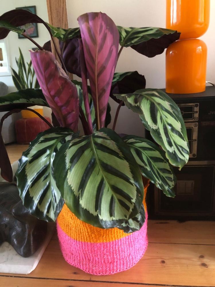 RUKIA: Orange Colour Block Woven Basket - Customer Photo From Anonymous