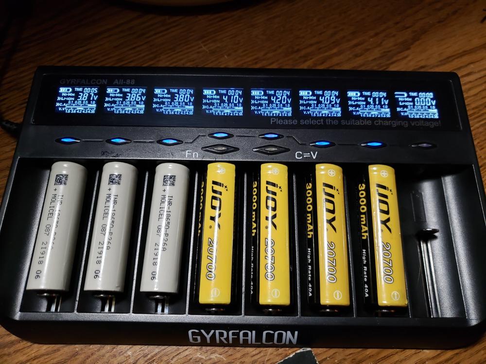 Gyrfalcon All-88 Battery Charger - Customer Photo From Pat Tanner