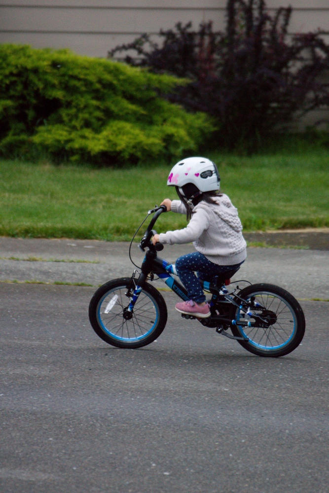 guardian kids bikes