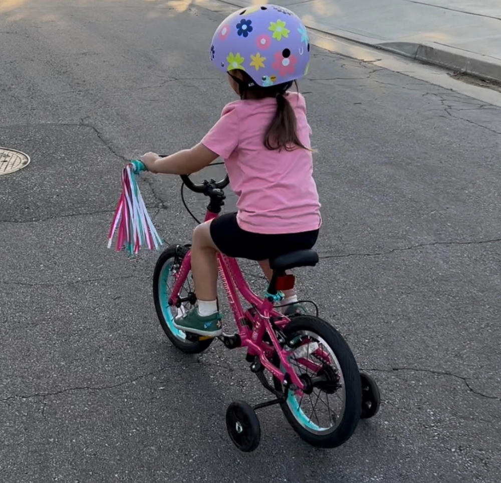 14 Inch Bike - Customer Photo From Robert Zajack