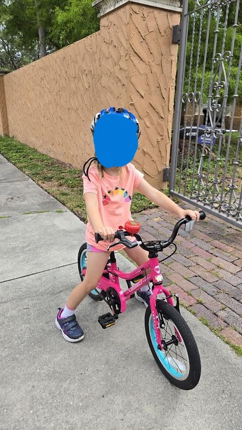 14 Inch Bike - Customer Photo From Quinn Lundquist