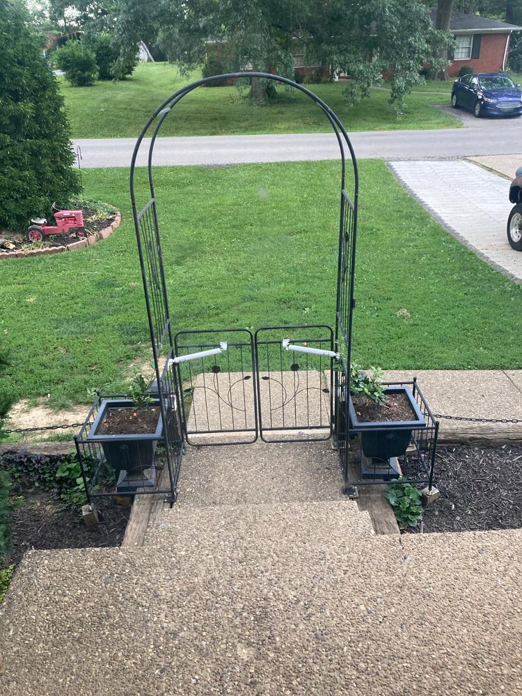 Star Jasmine - Customer Photo From Terry Whisman