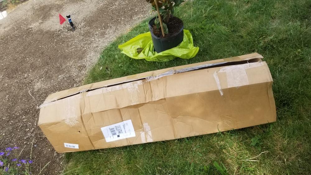 Bracken’s Brown Beauty Magnolia Tree - Customer Photo From Pete Tyson