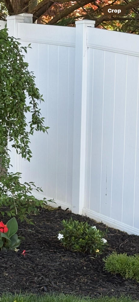 Frost Proof Gardenia Shrub - Customer Photo From Anonymous