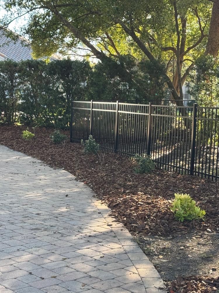 Spring Bouquet Viburnum - Customer Photo From Jennifer Hart