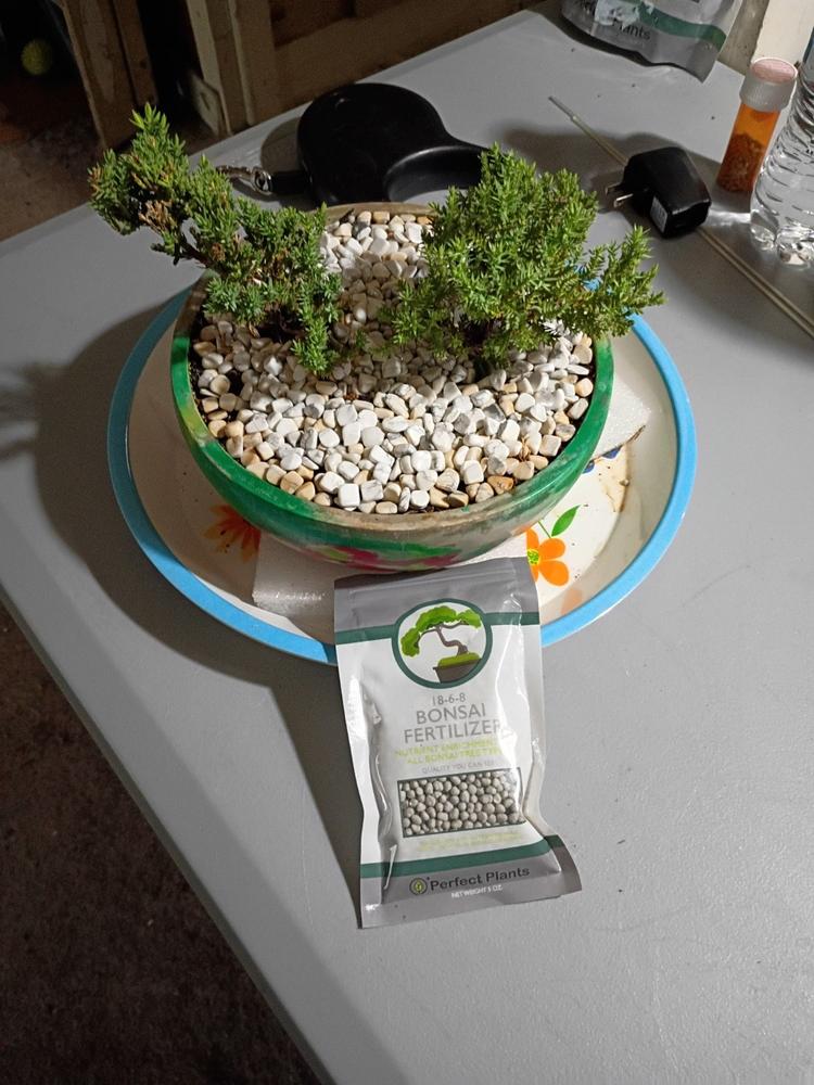 Bonsai Fertilizer Pellets - Customer Photo From SHANE MILLER