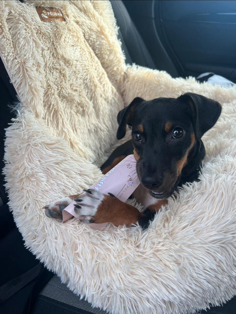 Pelsbarn Beroligende Bilseng til Hund - Customer Photo From Monica Tindeland