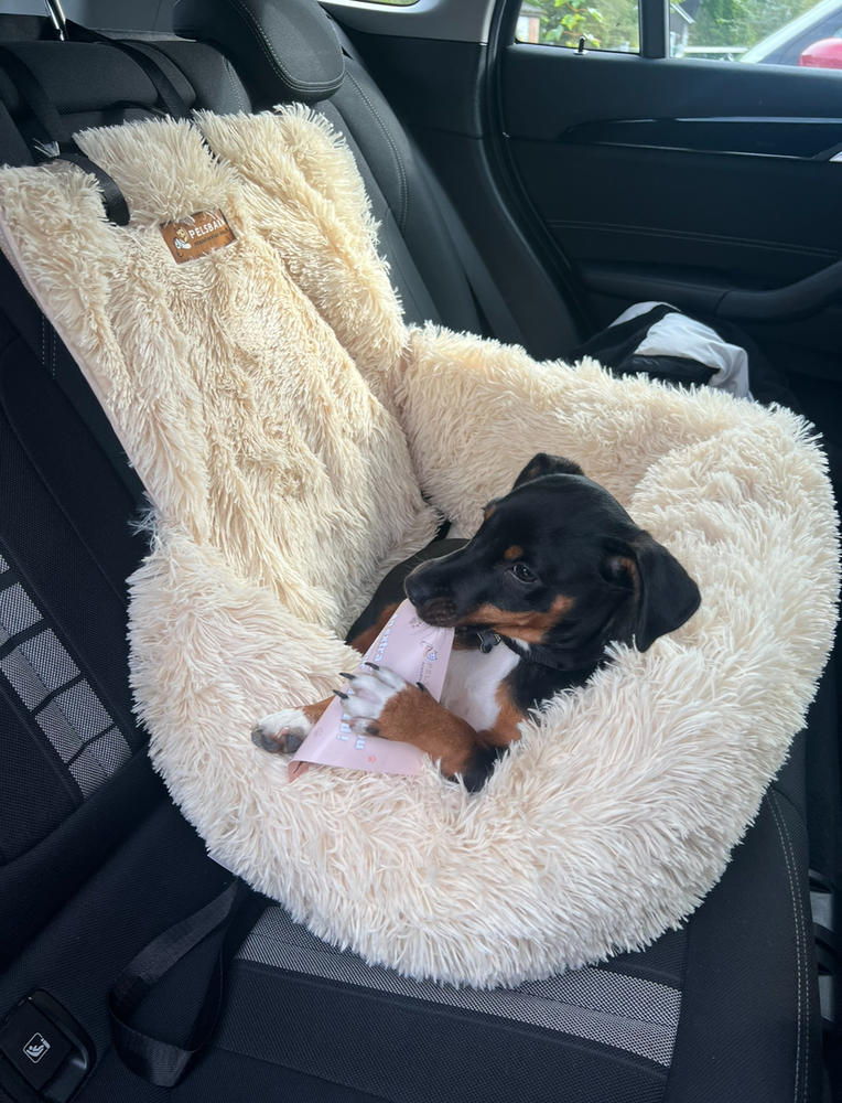 Pelsbarn Beroligende Bilseng til Hund - Customer Photo From Monica Tindeland