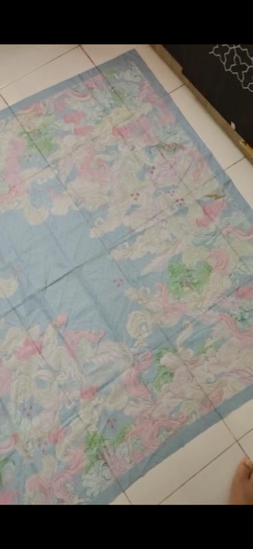 The Friendship Square - Rainbow Dash - Customer Photo From Septi Dwililyana
