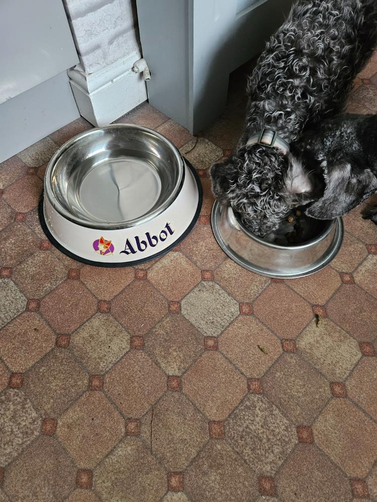 Abbot Ale Large Dog Bowl - Customer Photo From Sharon Woolley