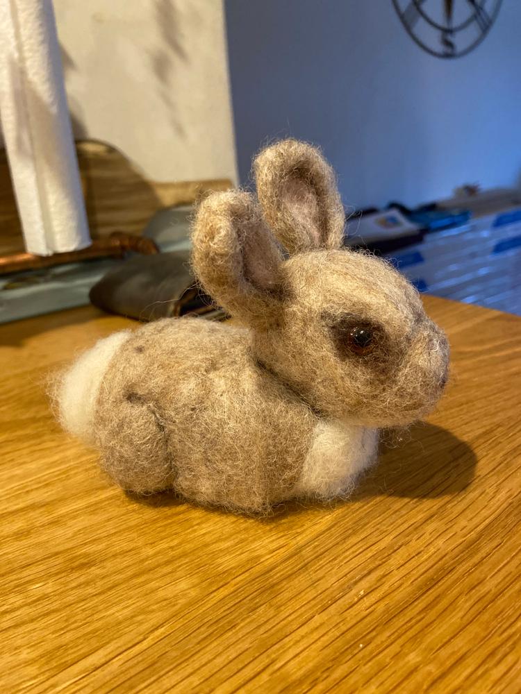 Baby Bunny Needle Felting Kit - Customer Photo From Gemma Vanstone