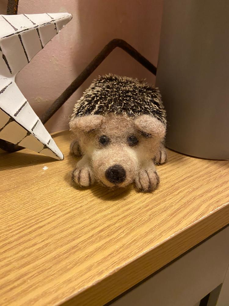 Baby Hedgehog Needle Felting Kit - Customer Photo From Gemma Vanstone