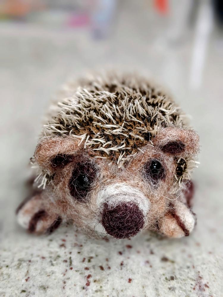 Baby Hedgehog Needle Felting Kit - Customer Photo From Steve Bass