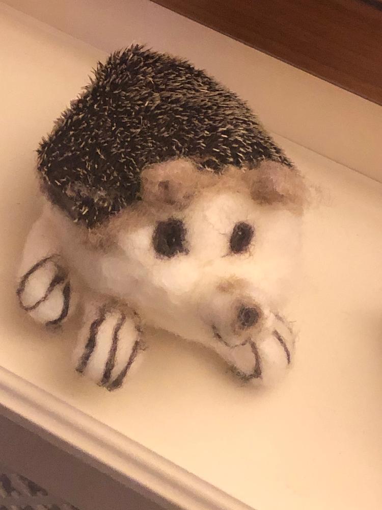 Baby Hedgehog Needle Felting Kit - Customer Photo From Gillian McLaren 
